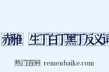 赤雅·生丁白丁黑丁反义词是什么意思的图片